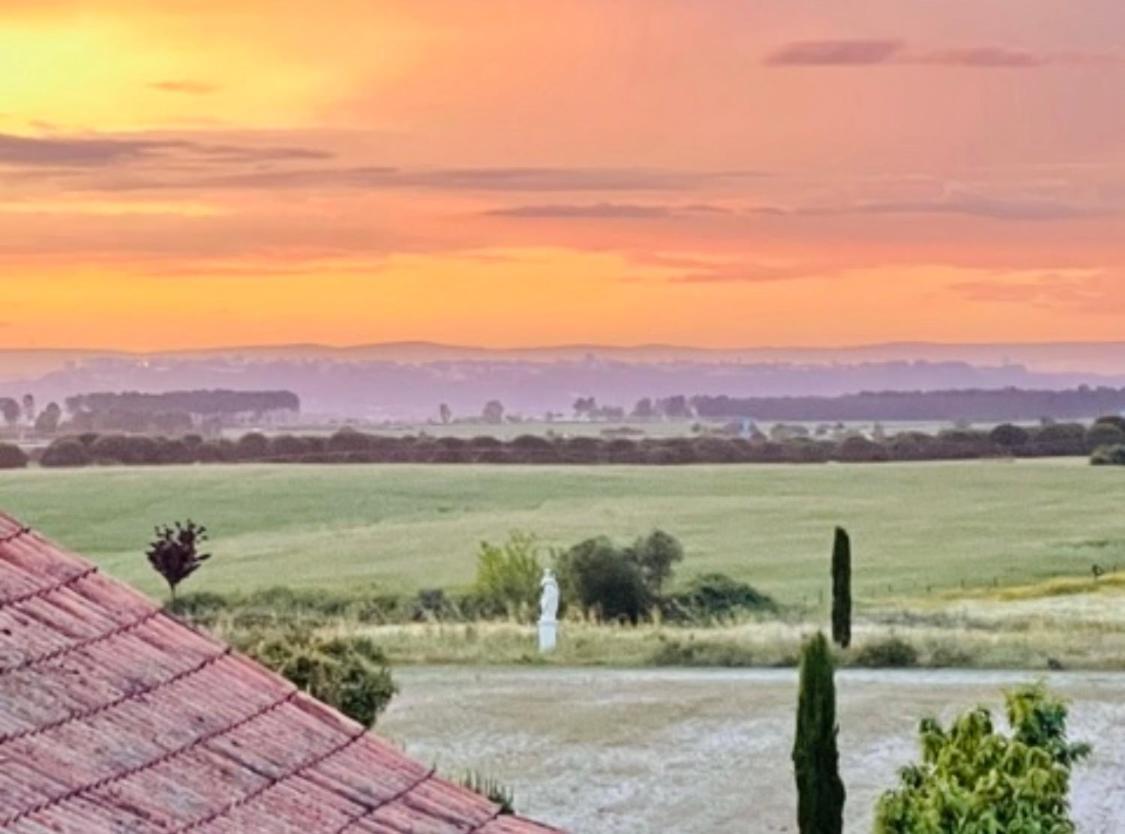 Herdade De Santa Maria Almeirim Dış mekan fotoğraf