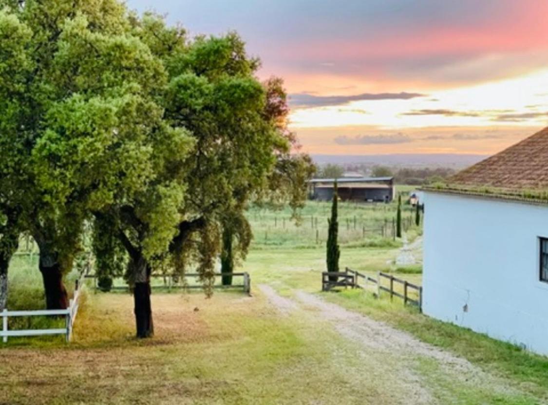 Herdade De Santa Maria Almeirim Dış mekan fotoğraf