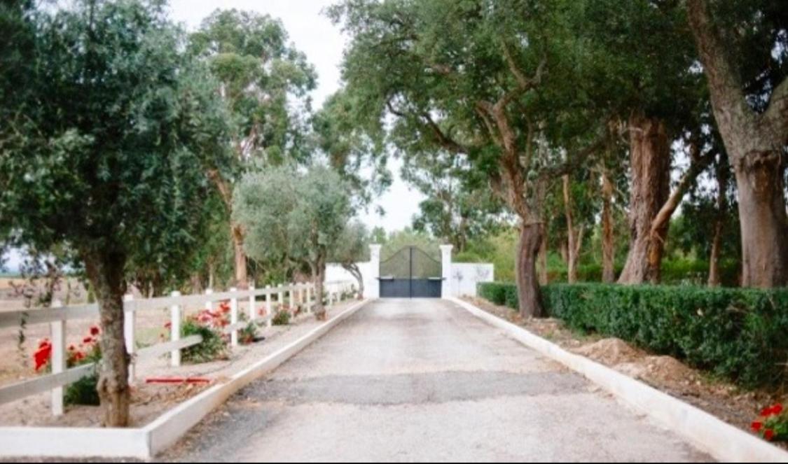 Herdade De Santa Maria Almeirim Dış mekan fotoğraf