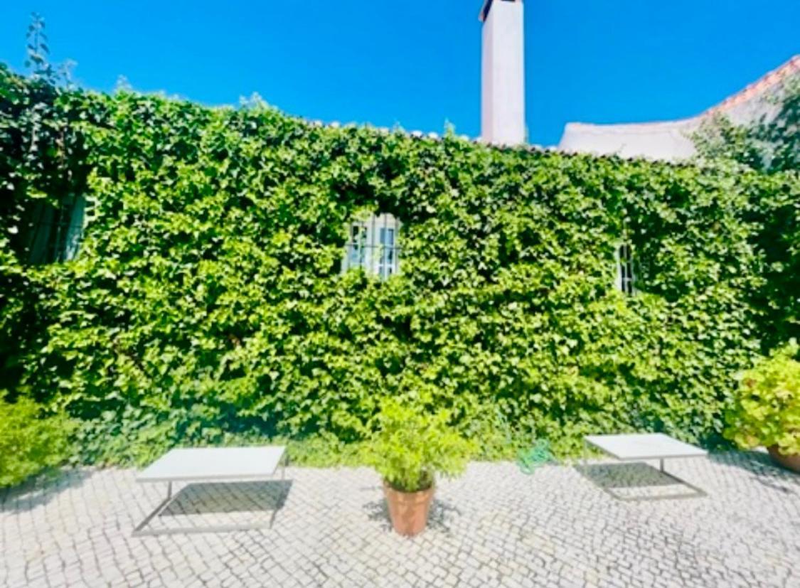Herdade De Santa Maria Almeirim Dış mekan fotoğraf
