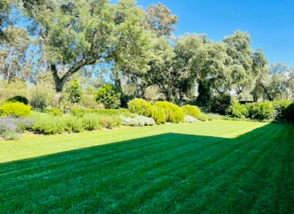 Herdade De Santa Maria Almeirim Dış mekan fotoğraf