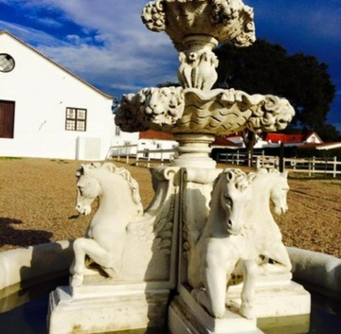 Herdade De Santa Maria Almeirim Dış mekan fotoğraf